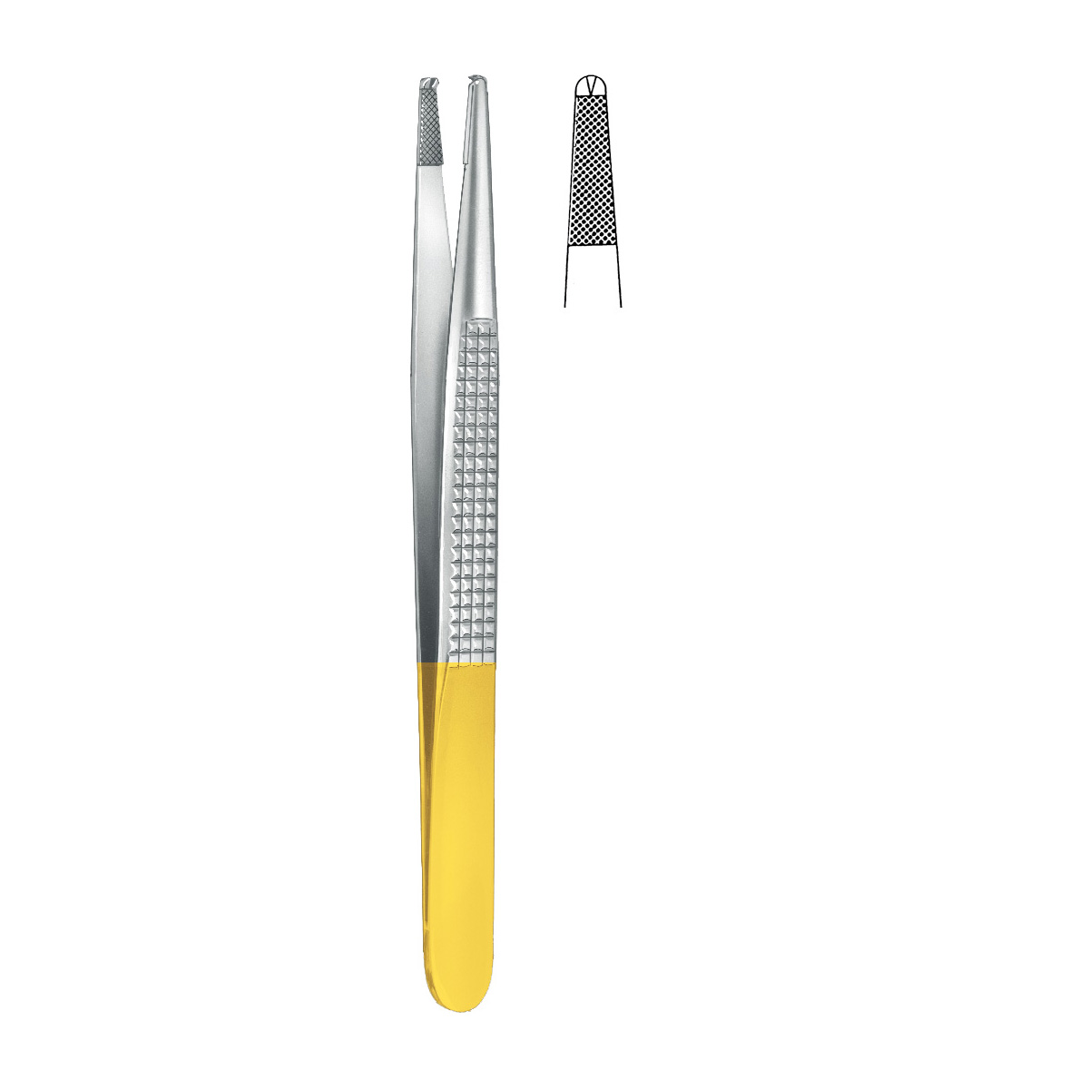 01-13.jpg TC Forcep - Image 1
