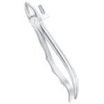Upper Laterals And Canines