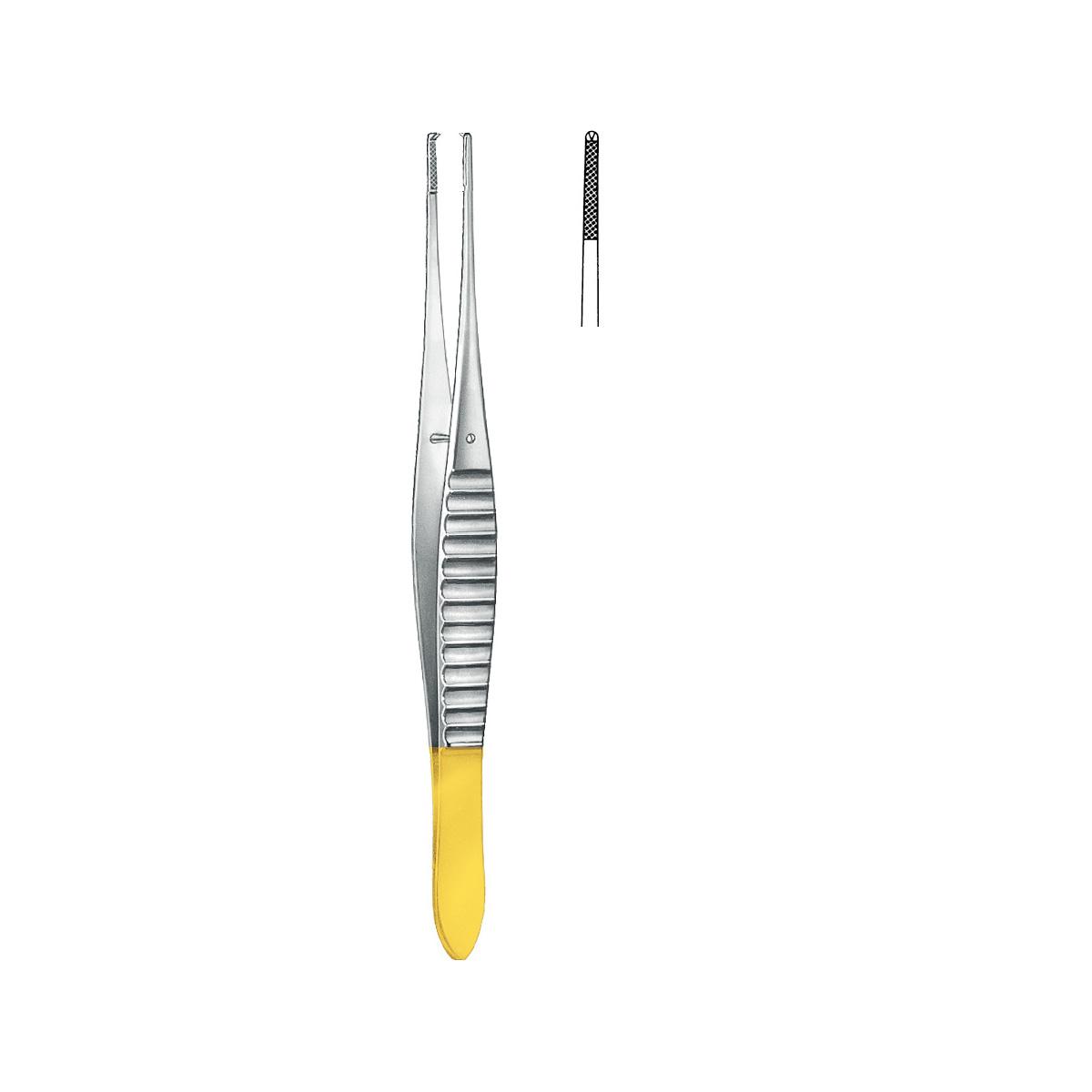 03-11.jpg TC Forcep - Image 1