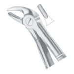 Extracting Forceps EP