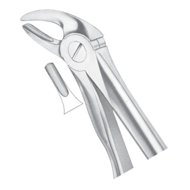04-40.jpg Lower Incisors And Canines - Image 1