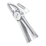 Extracting Forceps EP