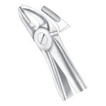 Upper Premolars
