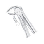 Upper Premolars