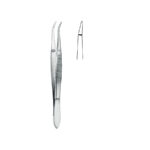 Cilia Forceps