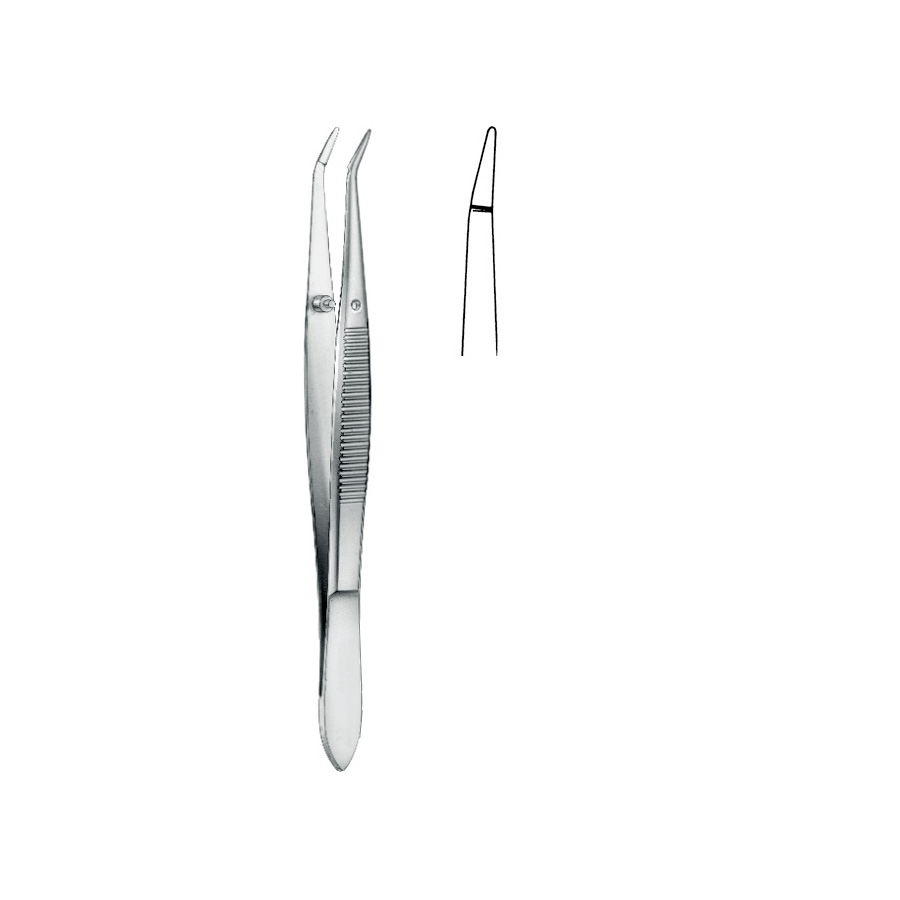 06-7.jpg Cilia Forceps - Image 1