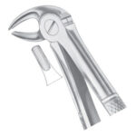 Extracting Forceps EP