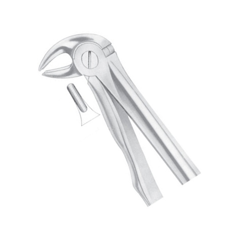 07-32.jpg Lower Premolars - Image 1