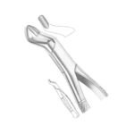 Upper Molars