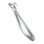 Extracting Forceps EP