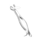 Upper Molars