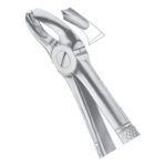 Extracting Forceps EP