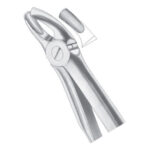 Upper Molars
