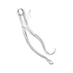 Lower Molars
