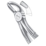 Extracting Forceps EP