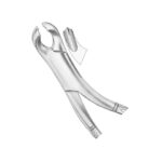 Lower Molars