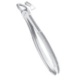 Extracting Forceps EP