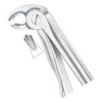 Lower Molars