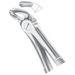 Extracting Forceps EP