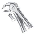 Extracting Forceps EP