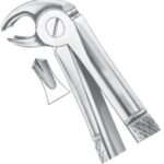 Extracting Forceps EP