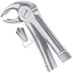 Extracting Forceps EP