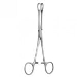 Sponge Foerster Forceps
